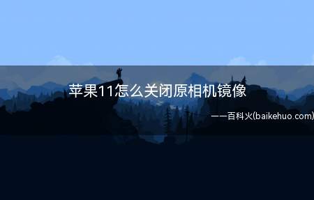 苹果11怎么关闭原相机镜像