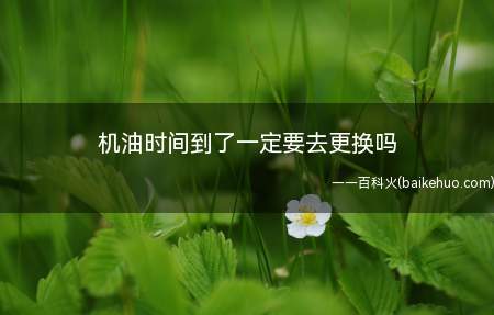机油时间到了一定要去更换吗(机油更换里程(查成交价|车型详解))