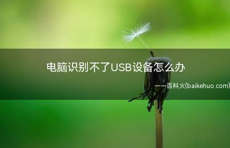 电脑识别不了USB设备怎么办(怎么解决系统识别不了USB)
