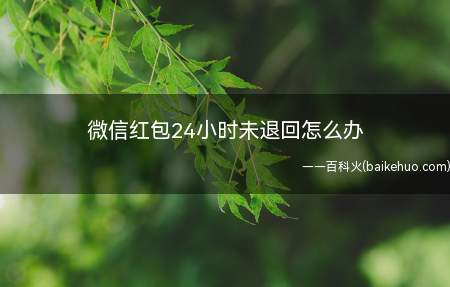 微信红包24小时未退回怎么办