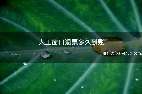 人工窗口退票在正常情况下到账时间为15个工作日左右