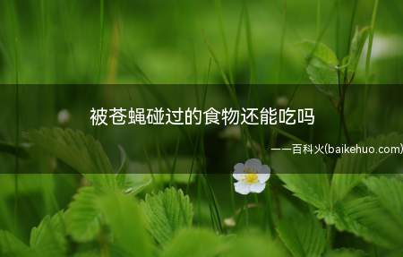 苍蝇到处乱飞,到处叮食,全身及肚子里带的致病微生物