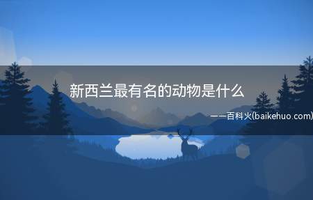 新西兰最有名的动物是什么（2018年新西兰被联合国评为全球最清廉的国家）