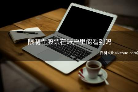 限制性股票在账户里能看到吗