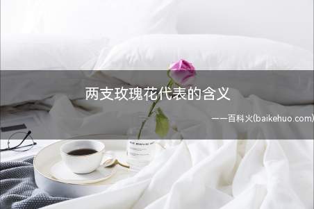 两支玫瑰花代表的含义(两支玫瑰花代表着爱情长久久)