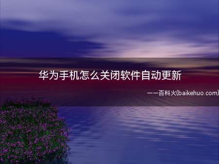 华为手机怎么关闭软件自动更新