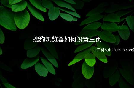 搜狗浏览器如何设置主页(日常生活中浏览器可少吗)