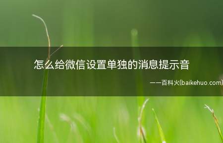 怎么给微信设置单独的消息提示音