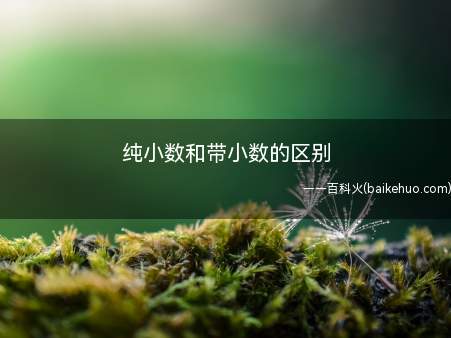 纯小数和带小数的区别