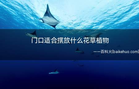 门口适合摆放什么花草植物