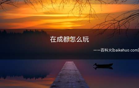 在成都怎么玩(成都有哪些景点第一天逛宽窄巷子)