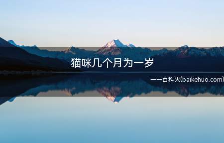 猫咪几个月为一岁(猫咪第一年相当于人的成年十八岁)