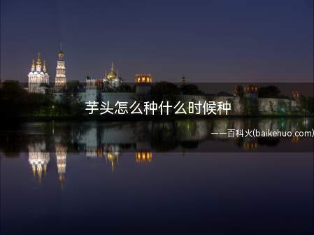 芋头怎么种什么时候种(芋头种植时间应选在春季)