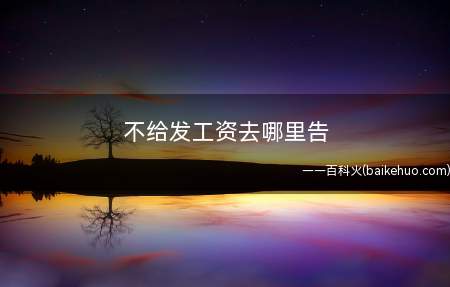 如果用人单位不发工资或者劳动者与单位因工资支付发生劳动争议的