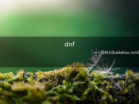 dnf(dnf很流畅只需要高频cpu,内存即可)