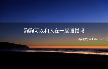 狗狗清洁状况良好的可以,皮肤容易过敏或者有呼吸道疾病的不可以
