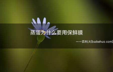 蒸蛋为什么要用保鲜膜