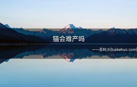 最好带母猫去医院确认是否需要紧急剖腹产,及时挽救母猫和胎儿的