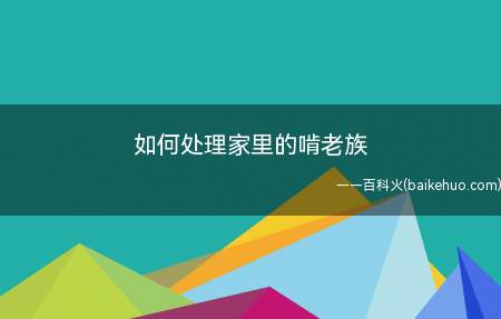 如何处理家里的啃老族