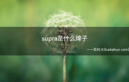 supra是什么牌子