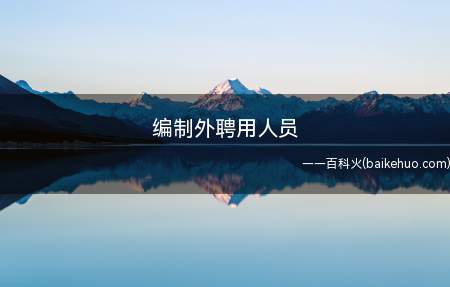 编制外聘用人员是什么意思