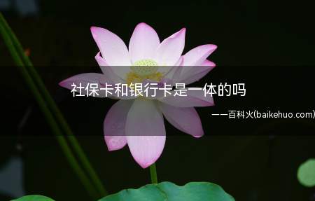社保卡和银行卡是一体的吗