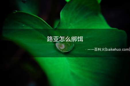 路亚怎么绑饵(路亚钓前导线绑假饵的活结打法)