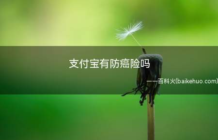 支付宝有防癌险,分别为平安抗癌卫士2020、孝心宝老年百万防