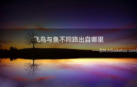 飞鸟与鱼不同路出自哪里(飞鸟与鱼不同路出自电视剧)