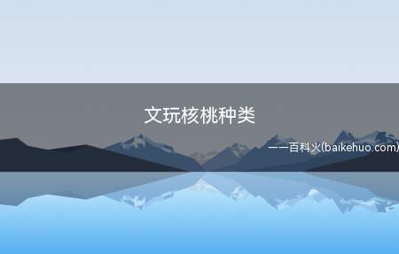 文玩核桃种类(文玩核桃的种类有哪些)