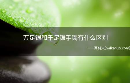 万足银和千足银手镯有什么区别(万足银的含银量在99)