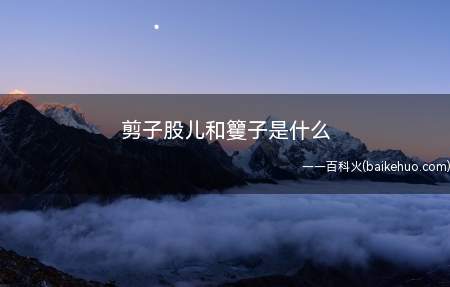 剪子股儿又称剪刀,是切割布、纸、钢板、绳、圆钢等片状或线状物