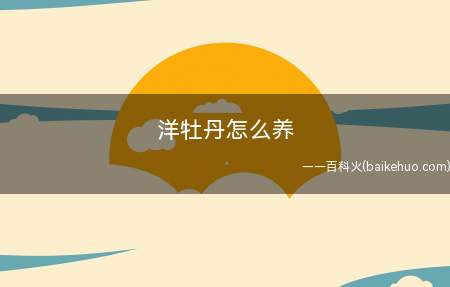 洋牡丹怎么养(洋牡丹喜欢阴凉的环境,适宜生长在15°C左右)