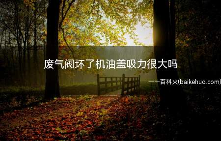 废气阀坏了机油盖吸力很大吗