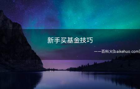 新手买基金技巧(基金交易技巧)