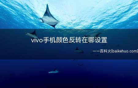 vivo手机颜色反转在哪设置(vivo手机颜色反转设置步骤)