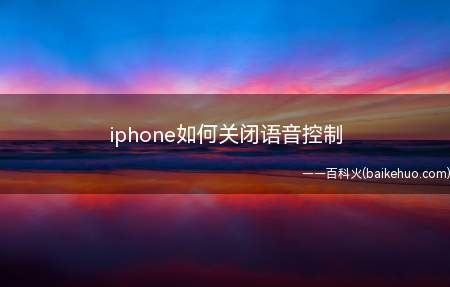 iphone如何关闭语音控制(苹果手机怎么关闭语音控制)