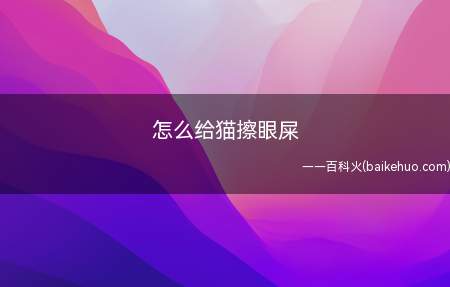 怎么给猫擦眼屎(猫咪眼睛分泌物增多的时候需要及时分辨)