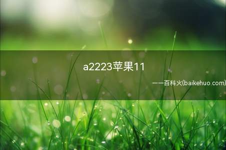a2223苹果11(iPhone11,iOS14)