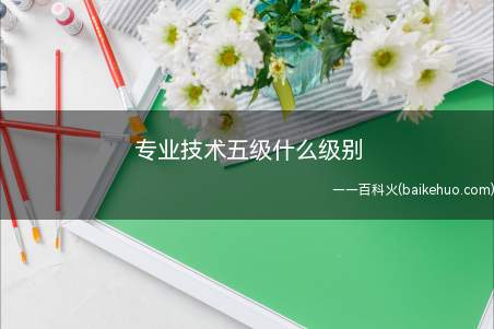 专业技术五级什么级别(专业技术五级是副高级级别)