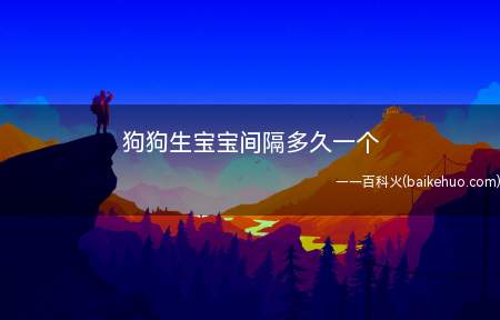 正常体型能够顺产的母狗,生产时胎儿间隔一般在半小时左右