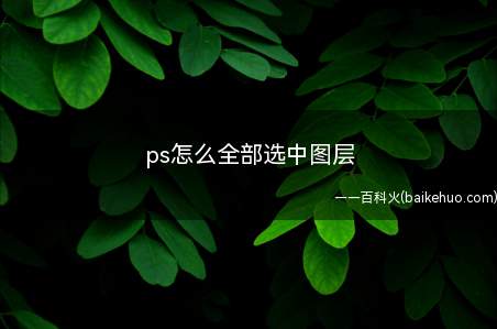 ps怎么全部选中图层(Dell灵越5000电脑操作方法)