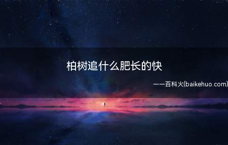 柏树追什么肥长的快(柏树生长对肥料要求不多,只要满足它的生长需求即可)