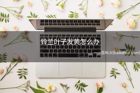 铃兰叶子发黄怎么办（铃兰叶子发黄后,如果数量较少的话,可进行修剪）