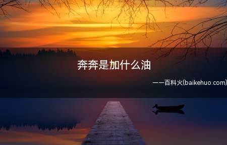 奔奔是加什么油(奔奔搭载长安C101)
