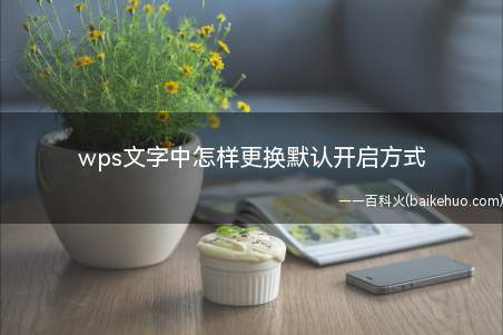 wps文字中怎样更换默认开启方式(WPS文字的开启方式是默认的)