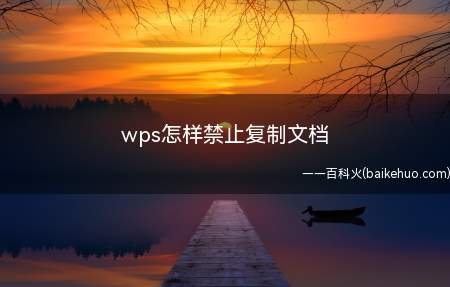wps怎样禁止复制文档(WPS制作文档如何禁止复制文档)