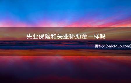 失业保险和失业补助金一样吗(失业补助金就是参加社会保险的劳动者吗)