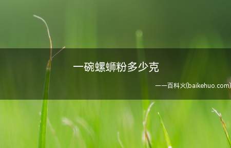 一碗螺蛳粉多少克(一碗螺蛳粉大约为300克左右)