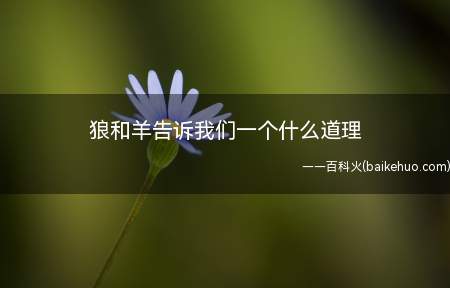 狼和羊告诉我们一个什么道理(《狼与羊》告诉我们的道理:坏人无论找多少个借口)